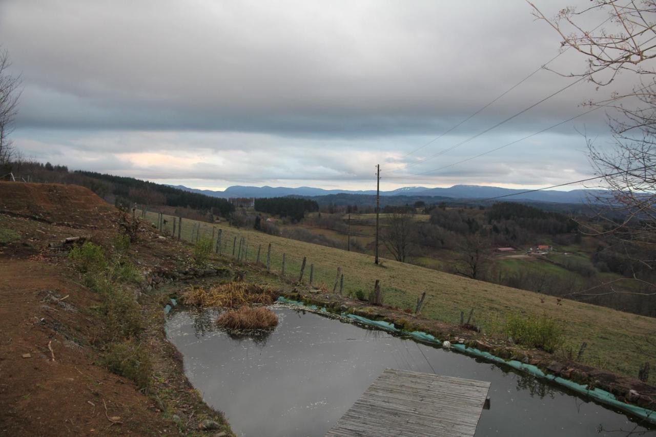 Gite Ferme Brelouffe 1 La Rosiere  エクステリア 写真